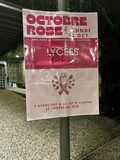 Galerie photo OCTOBRE ROSE 2025